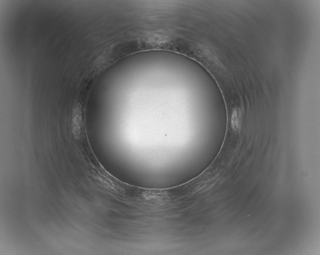 X0000073471299200608111525