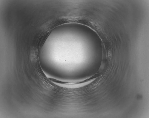 X0000073471300200608111525