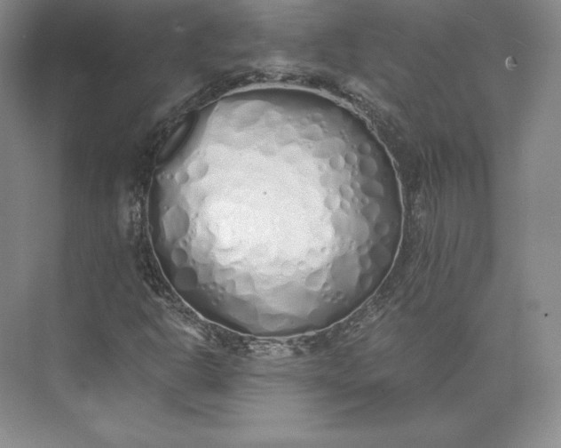 X0000073471302200608111525