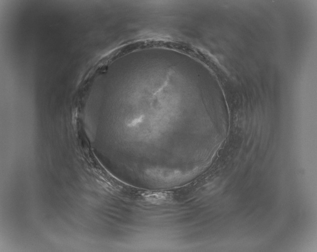 X0000073471303200608111525