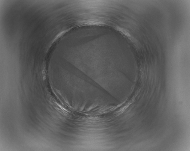 X0000073471306200608111525