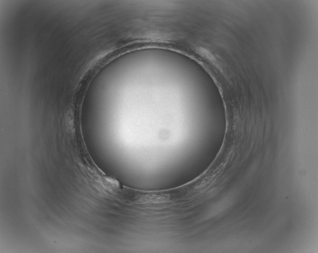 X0000073471307200608111525