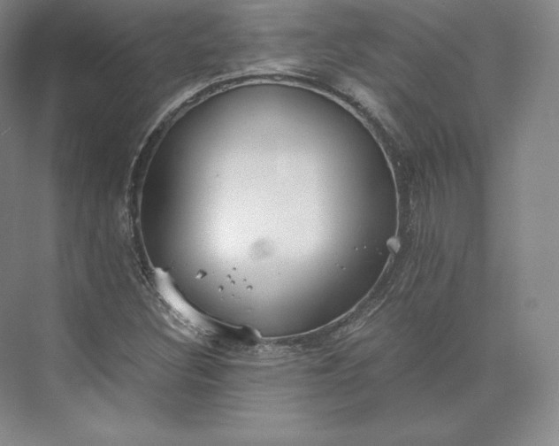 X0000073471308200608111525