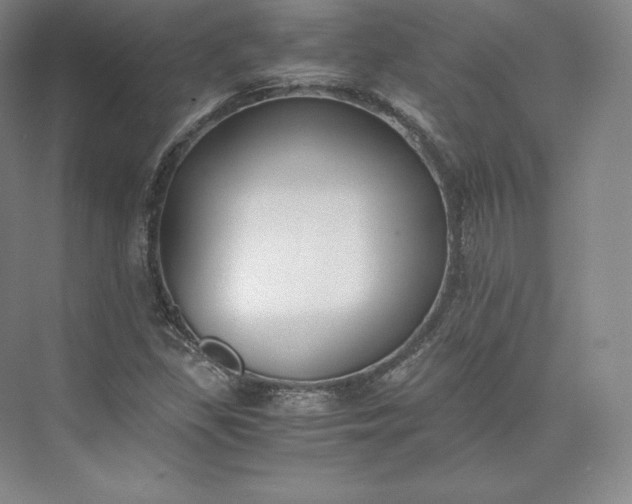 X0000073471309200608111525