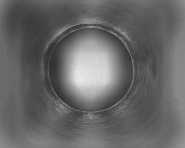 X0000073471311200608111525