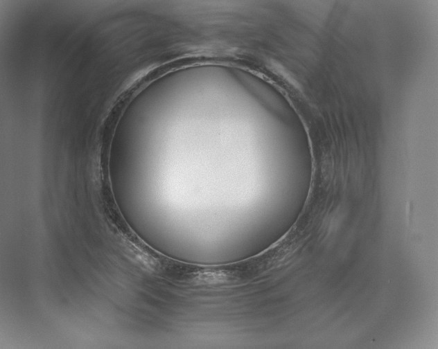 X0000073471315200608111526