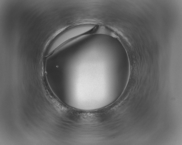 X0000073471317200608111526