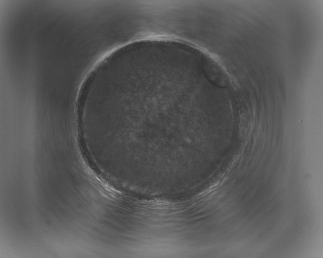 X0000073471319200608111526