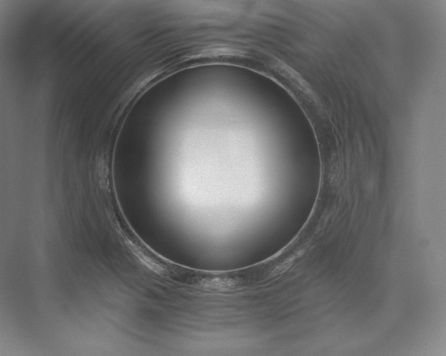 X0000073471321200608111526