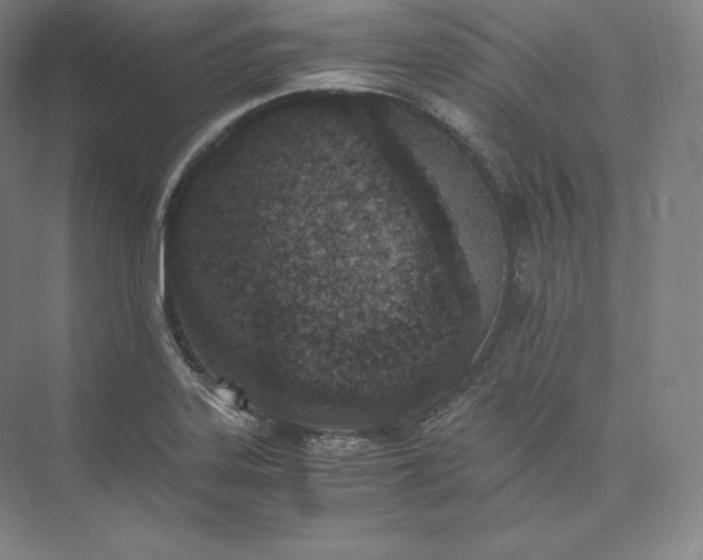 X0000073471323200608111526