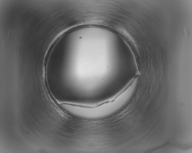 X0000073471324200608111526