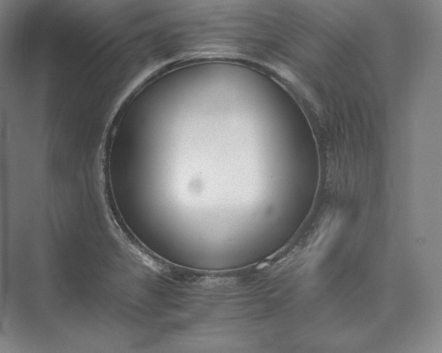 X0000073471325200608111526