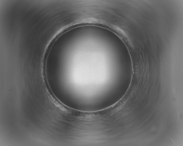 X0000073471326200608111526