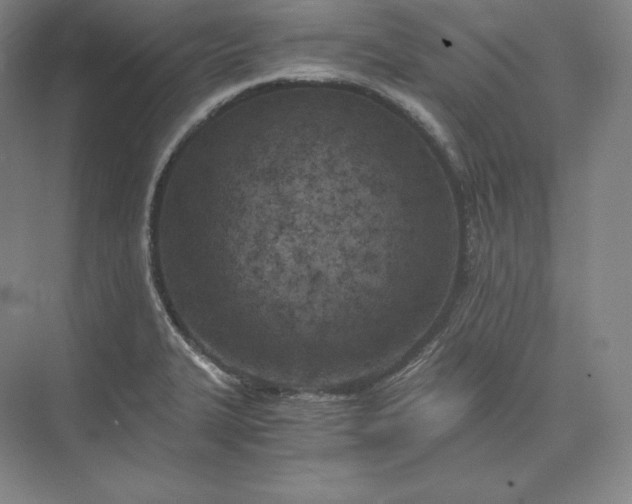 X0000073471327200608111526