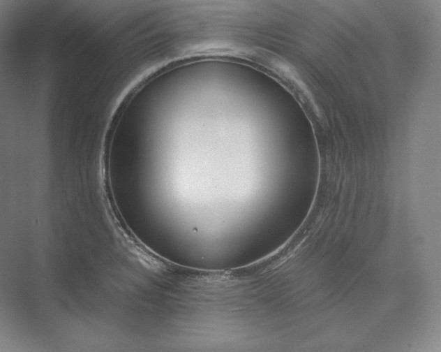 X0000073471328200608111526