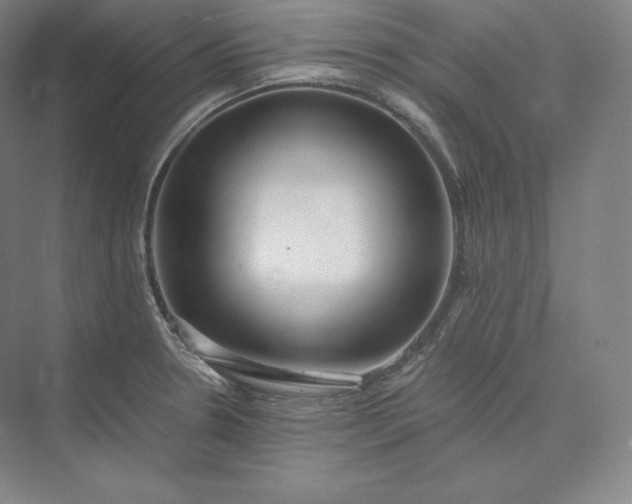 X0000073471330200608111526