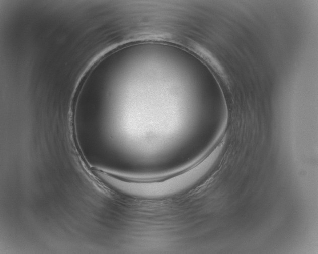 X0000073471332200608111526