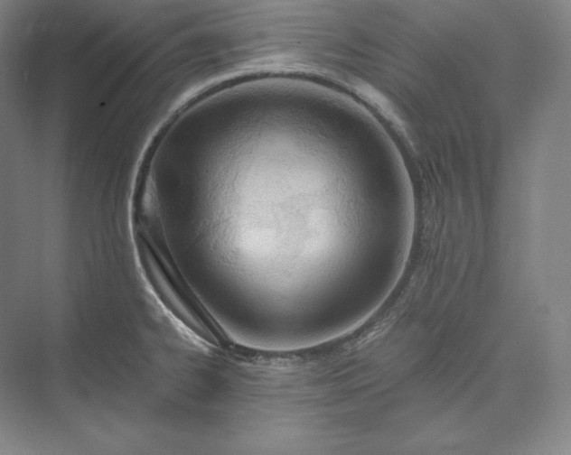 X0000073471334200608111526