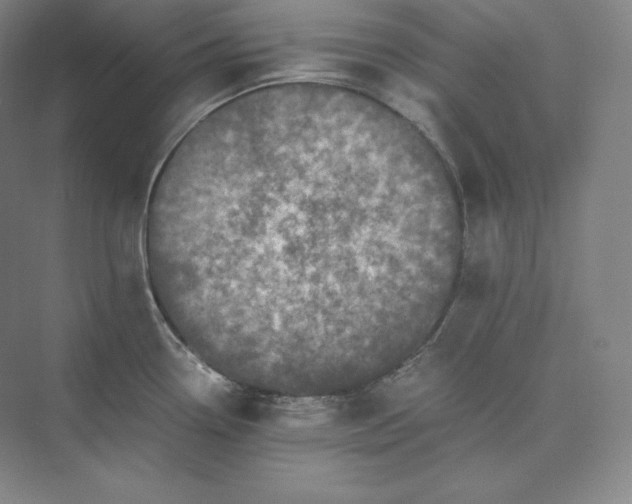 X0000073471338200608111526