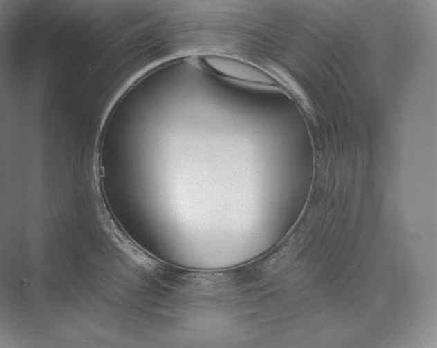 X0000073471340200608111526