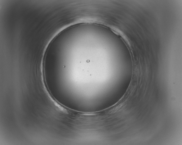 X0000073471343200608111526