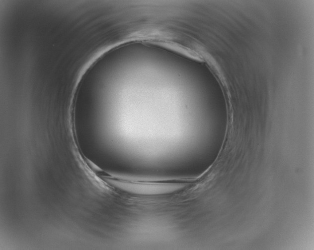 X0000073471344200608111526