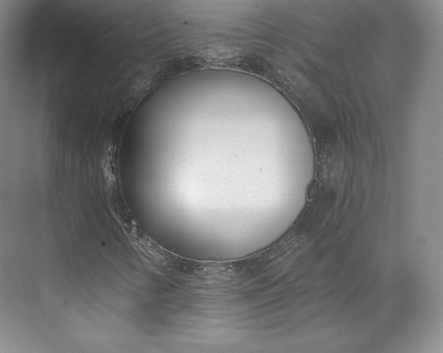 X0000073471346200608111525