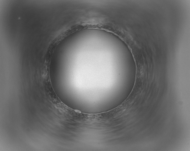 X0000073471350200608111525