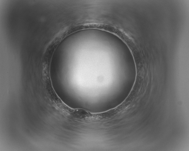 X0000073471351200608111525