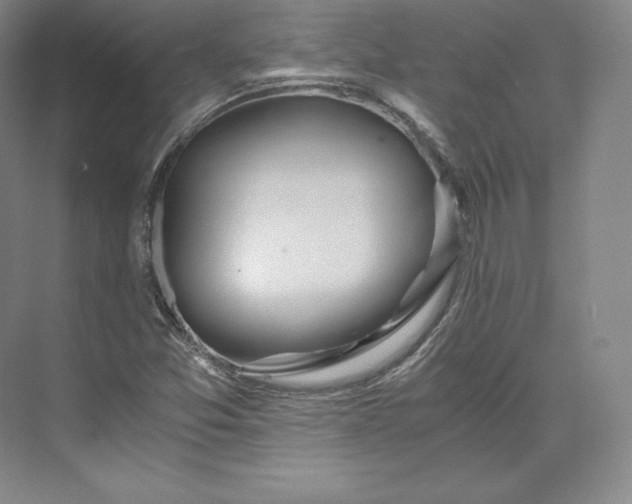 X0000073471357200608111525