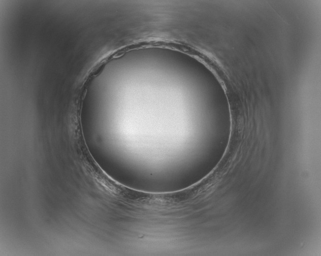 X0000073471359200608111525