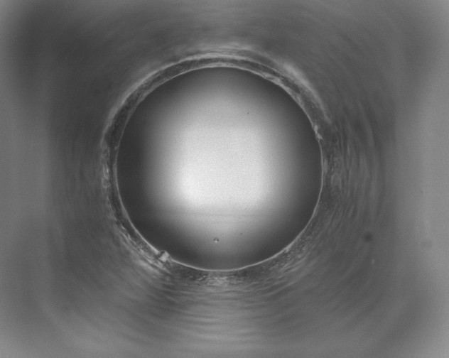 X0000073471360200608111525