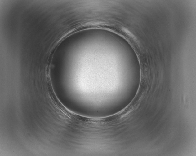 X0000073471361200608111525