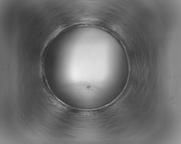 X0000073471362200608111525