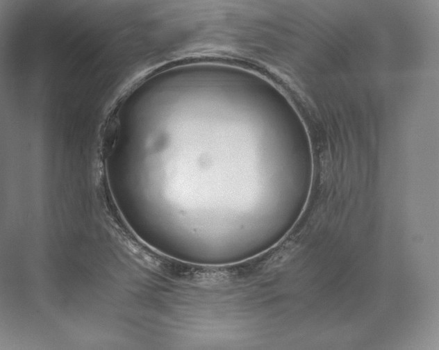 X0000073471363200608111525