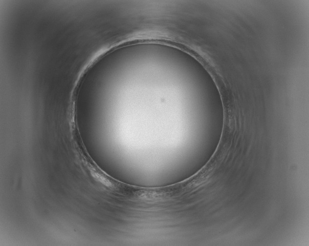 X0000073471366200608111525