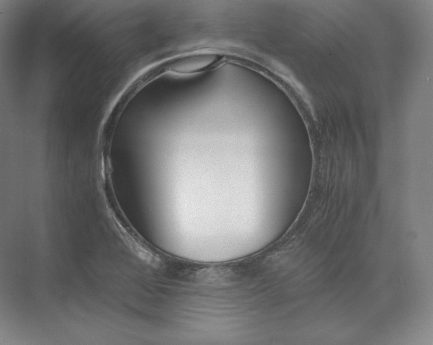 X0000073471368200608111525