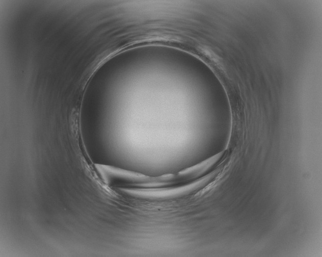 X0000073471369200608111525