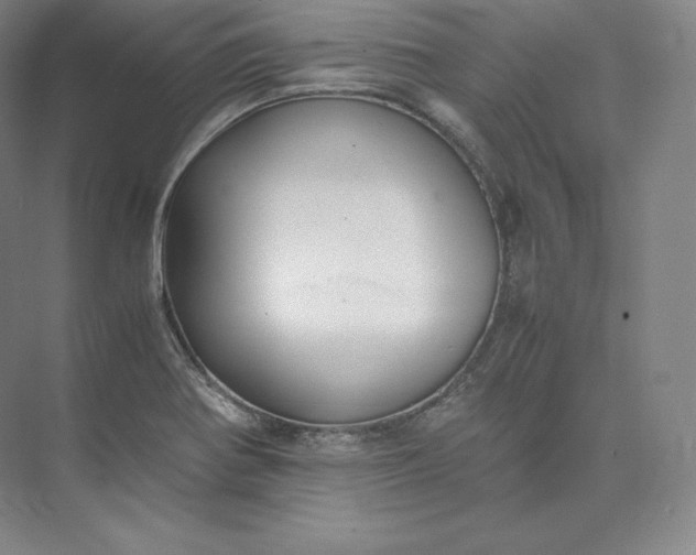 X0000073471370200608111525