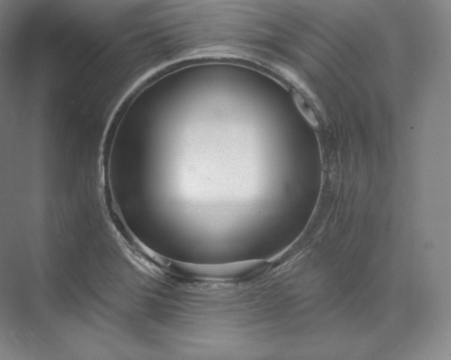 X0000073471372200608111525