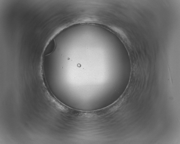 X0000073471374200608111525