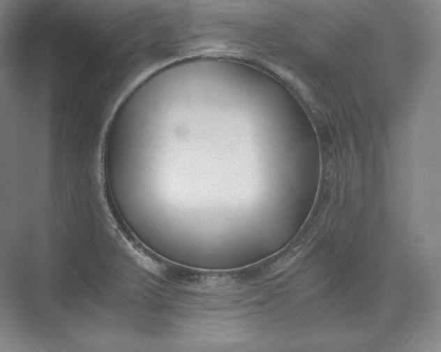 X0000073471375200608111525