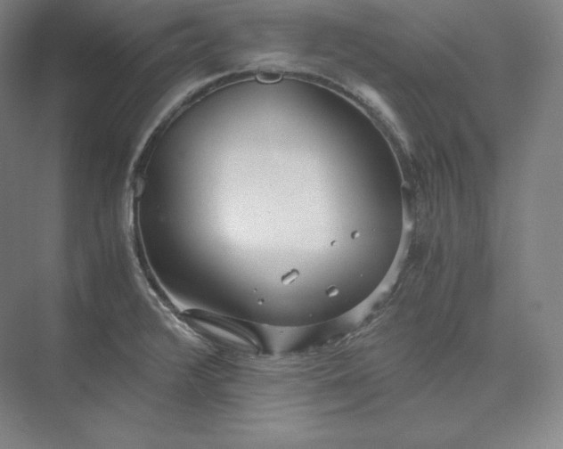 X0000073471376200608111525