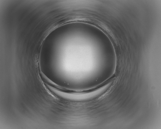 X0000073471377200608111525