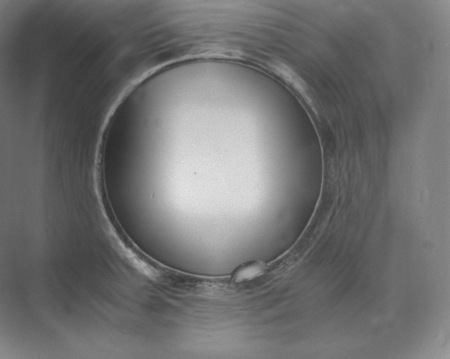 X0000073471379200608111525