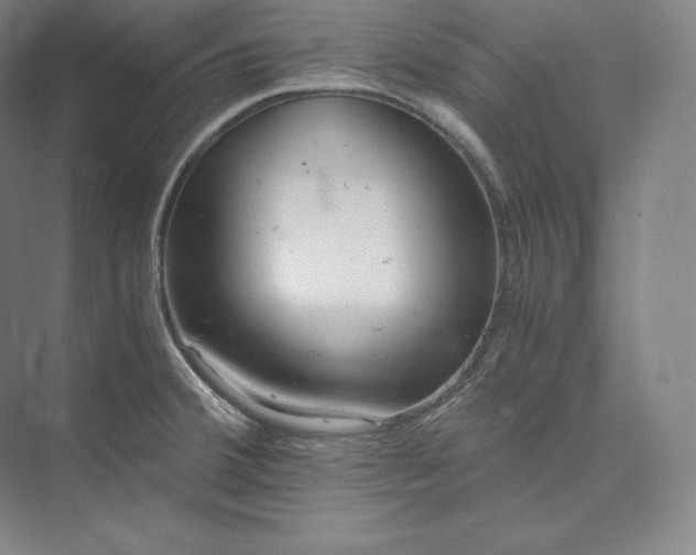 X0000073471380200608111525