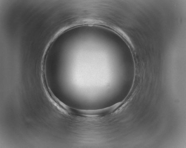 X0000073471381200608111525