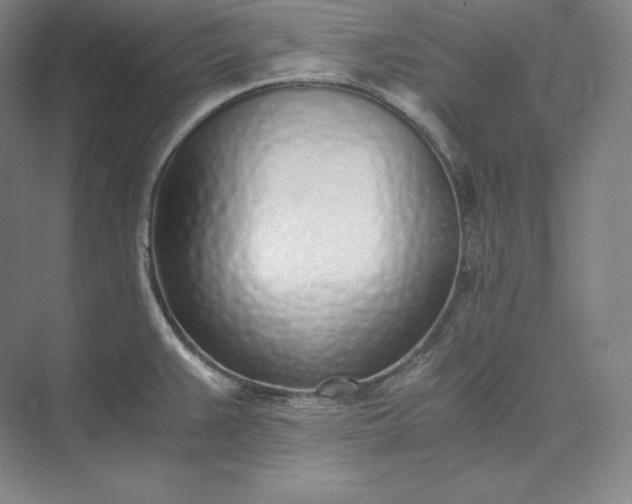 X0000073471383200608111525