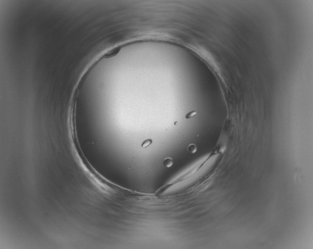 X0000073471391200608111524