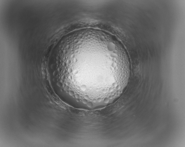 X0000073471397200608111524